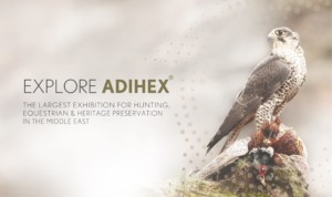 ADIHEX-2019-slides-scaled